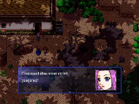Sword Legend (2008) Screenshot de Sword Legend (2008)